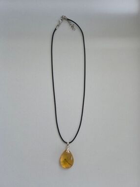 Resin Dragonfly Tear drop Necklace